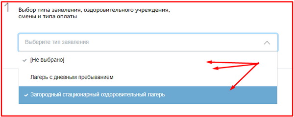 Запись ребенка в детский летний лагерь